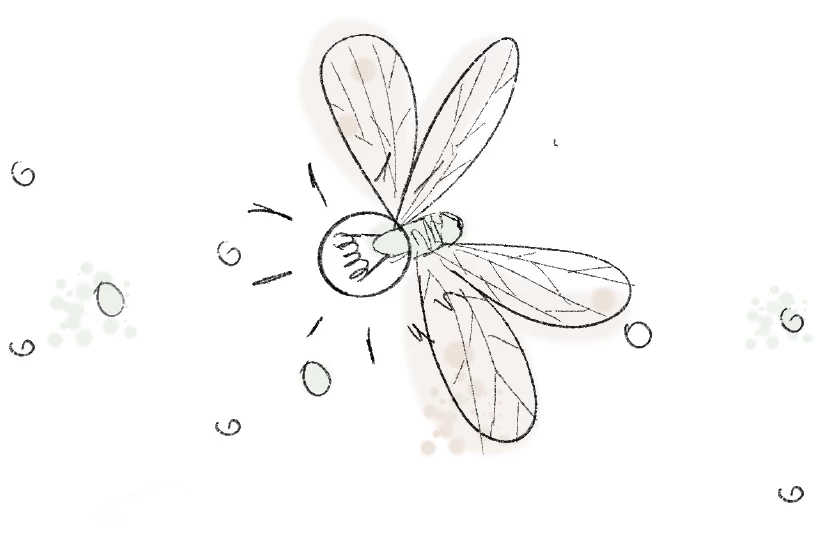 Kim jest kreatywność?